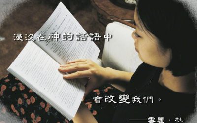 我可在何處尋得神的話?