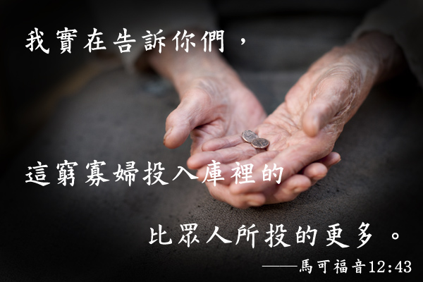 寡婦的 奉獻