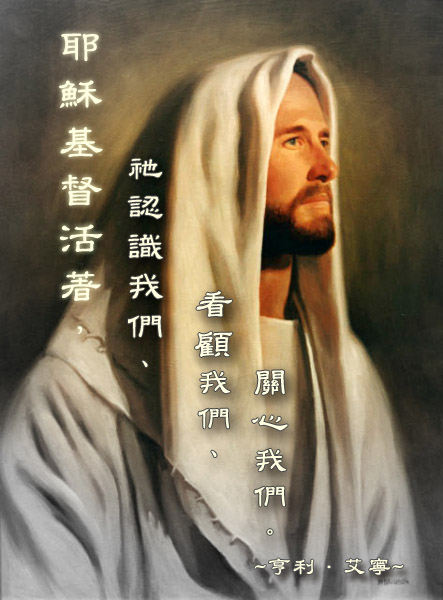 主看顧我們