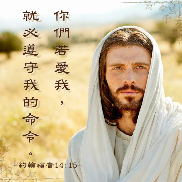 若我們愛基督，就應當遵守誡命