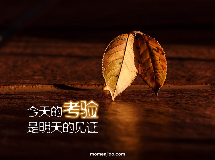 今天的考验是明天的见证